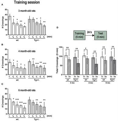 Early Long-Term Memory Impairment and Changes in the Expression of Synaptic Plasticity-Associated Genes, in the McGill-R-Thy1-APP Rat Model of Alzheimer's-Like Brain Amyloidosis